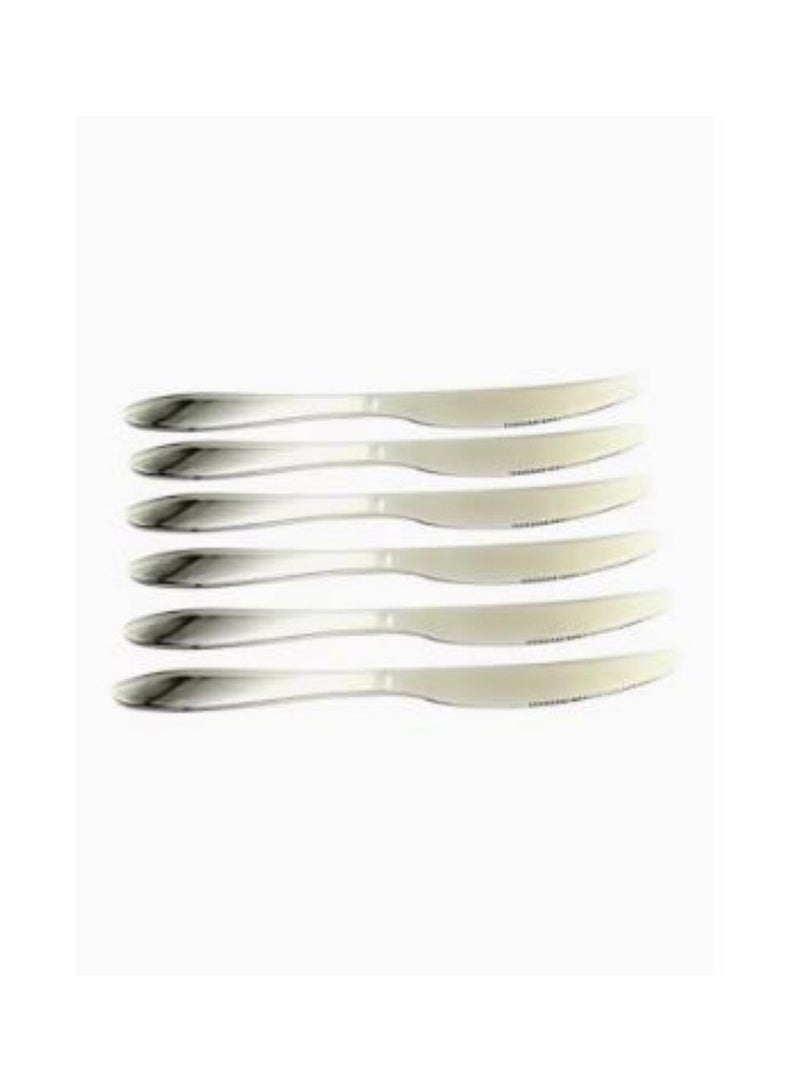 DUNISO طقم أدوات مائدة فضية مكون من 24 قطعة مع صندوق تخزين، طقم أدوات طعام من الفولاذ المقاوم للصدأ، خدمة لـ 6 أشخاص، مصقول بلمعان مرآة يشمل سكاكين وشوك وملاعق، آمن في غسالة الصحون - Image 3