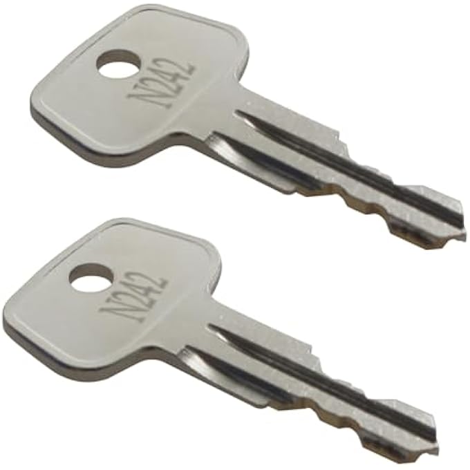 rayihni N242 Car Rack Replacement Key (2 Pcs) Fits for Thule Compatible Roof Racks, Cargo Box, Carriers, Crossbars - Image 2