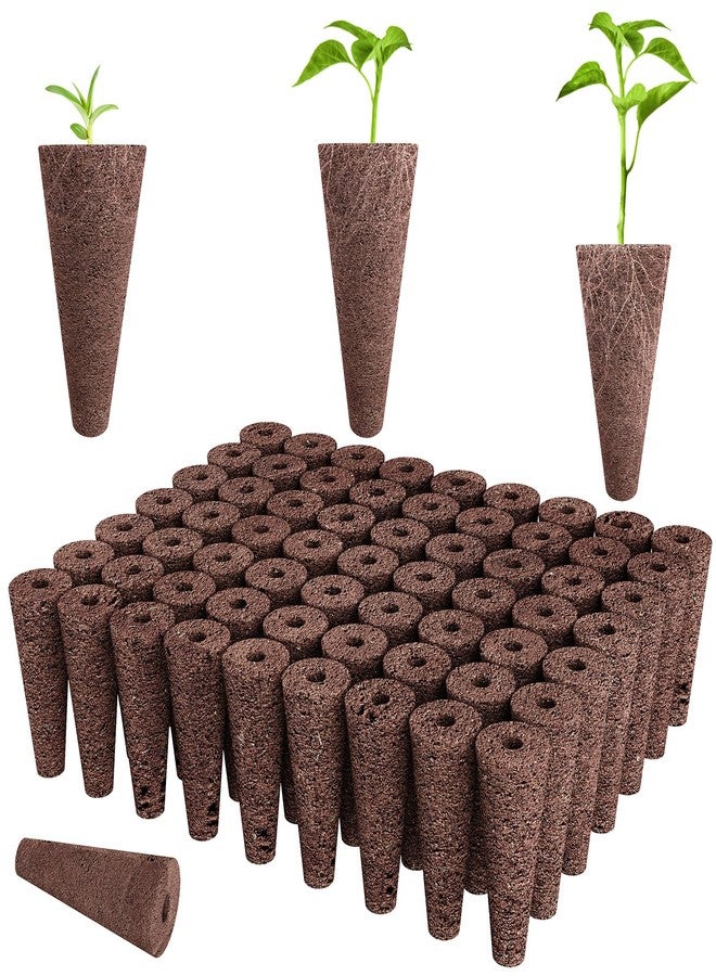 Tigvio 50 Packs Grow Sponges (Brown) - Image 1