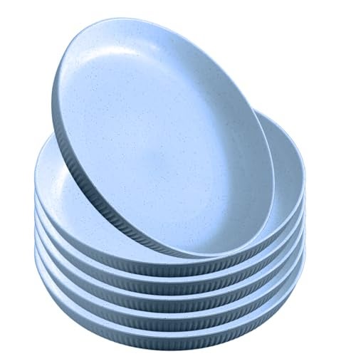 P-PLUS INTERNATIONAL Unbreakable Wheat Straw Cereal Plates, Dishwasher Safe Kitchen Large Plates Dinnerware Set Perfect for Dinner Dishes BPA Free Plate for Camping (Blue, Pack of 6) - Image 1