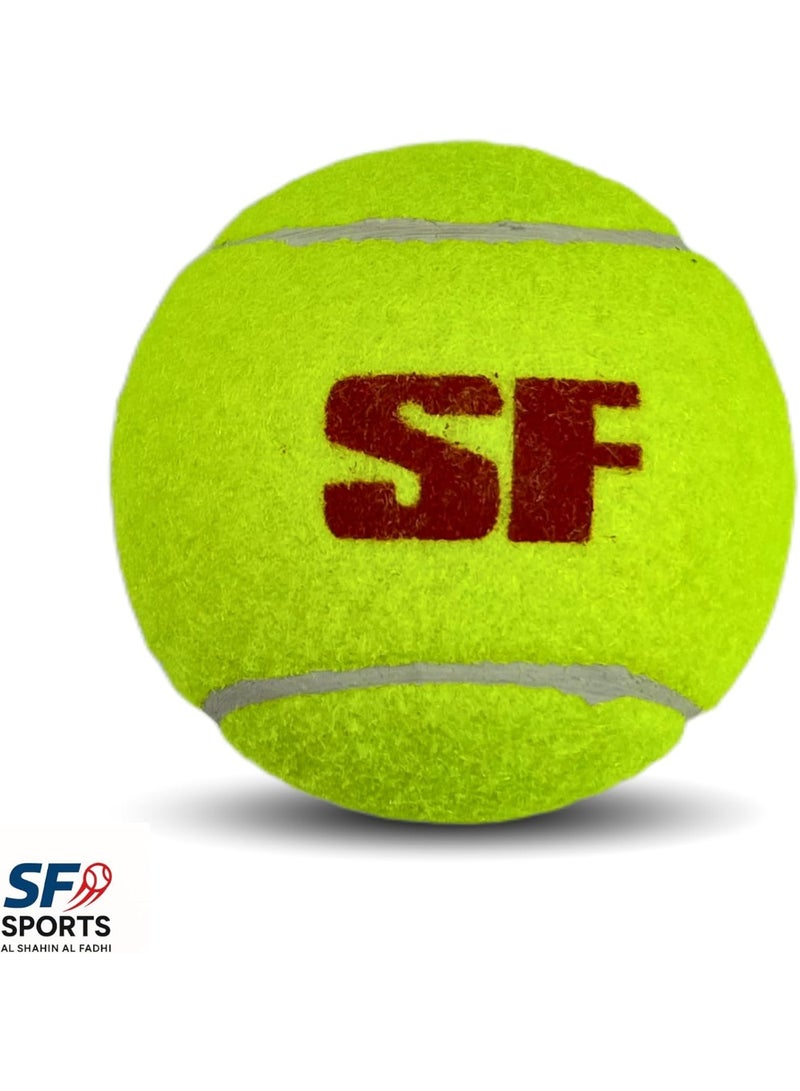 اس اف مجموعة كرات الكريكيت المضغوطة من 3 كرات - كرات تنس عالية الارتداد للكريكيت ذي الشريط اللاصق، والتدريب، واللعب في الشوارع والنوادي - طبقة خارجية متينة من اللباد لأداء يدوم طويلاً - Image 2