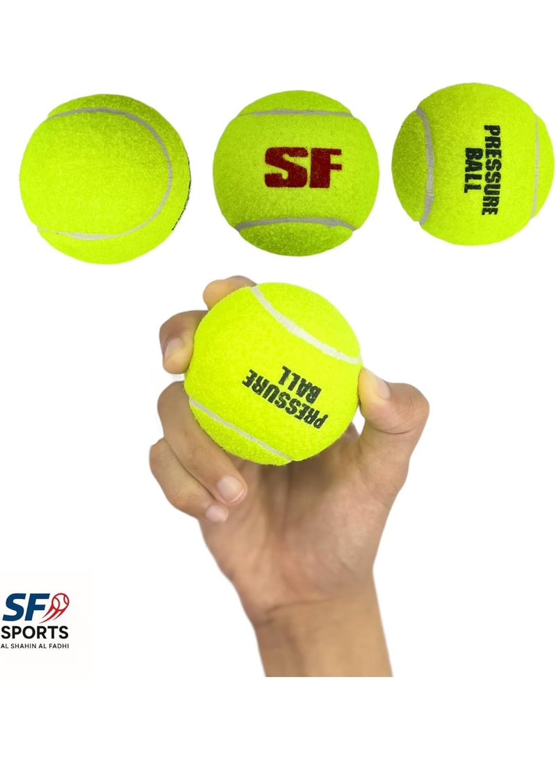 اس اف مجموعة كرات الكريكيت المضغوطة من 3 كرات - كرات تنس عالية الارتداد للكريكيت ذي الشريط اللاصق، والتدريب، واللعب في الشوارع والنوادي - طبقة خارجية متينة من اللباد لأداء يدوم طويلاً - Image 3