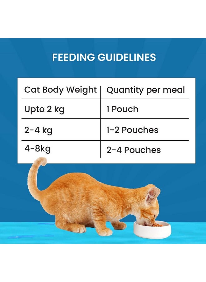 Goofy Tails Wet Cat Food and Kitten Food, Mackerel and Seaweed 350g (70g X 5 Pouches), Preservative Free, Gluten & Grain Free, Balanced Cat Wet Food, Powered by Taurine with Omega 3 & Antioxidants - pzsku/ZAB51CE02BDB89D830E95Z/45/_/1737721253/bbb486e1-4ff7-4818-9206-30e9ede54ad1