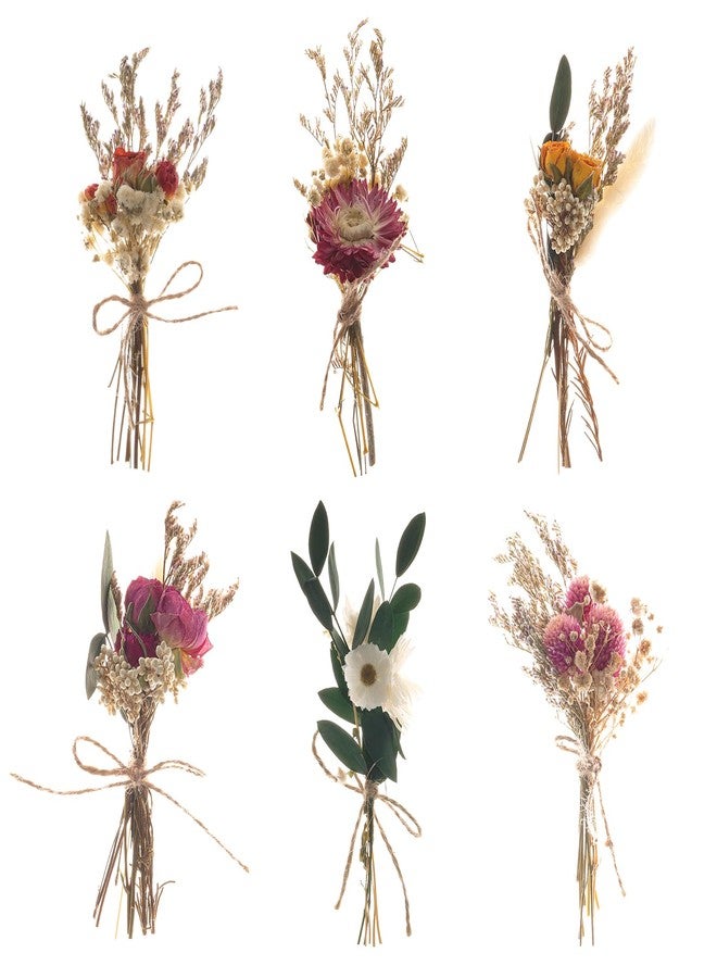 Fumwase باقة زهور مجففة صغيرة من فومواس، 6 قطع، زهور طبيعية حقيقية للأعمال اليدوية، زهور مجففة بوهيمية، زهور مجففة صغيرة بالجملة للمزهريات، زهور برية مجففة لأعمال يدوية، دعائم تصوير، هدايا، ديكورات حفلات الزفاف - Image 1