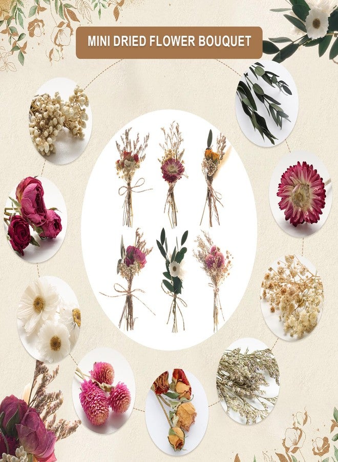 Fumwase باقة زهور مجففة صغيرة من فومواس، 6 قطع، زهور طبيعية حقيقية للأعمال اليدوية، زهور مجففة بوهيمية، زهور مجففة صغيرة بالجملة للمزهريات، زهور برية مجففة لأعمال يدوية، دعائم تصوير، هدايا، ديكورات حفلات الزفاف - Image 4