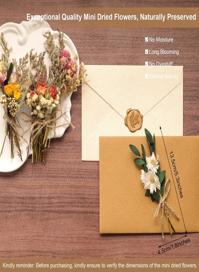 Fumwase باقة زهور مجففة صغيرة من فومواس، 6 قطع، زهور طبيعية حقيقية للأعمال اليدوية، زهور مجففة بوهيمية، زهور مجففة صغيرة بالجملة للمزهريات، زهور برية مجففة لأعمال يدوية، دعائم تصوير، هدايا، ديكورات حفلات الزفاف - Image 3