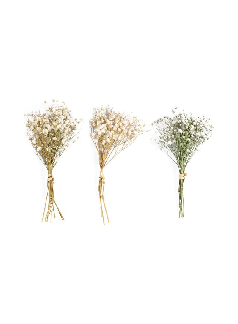 GGOOT Baby Breath Dried Flowers Natural Dry Flowers Bouquet Rustic Flower Bundles Floral Arrangements Supplies - Image 1
