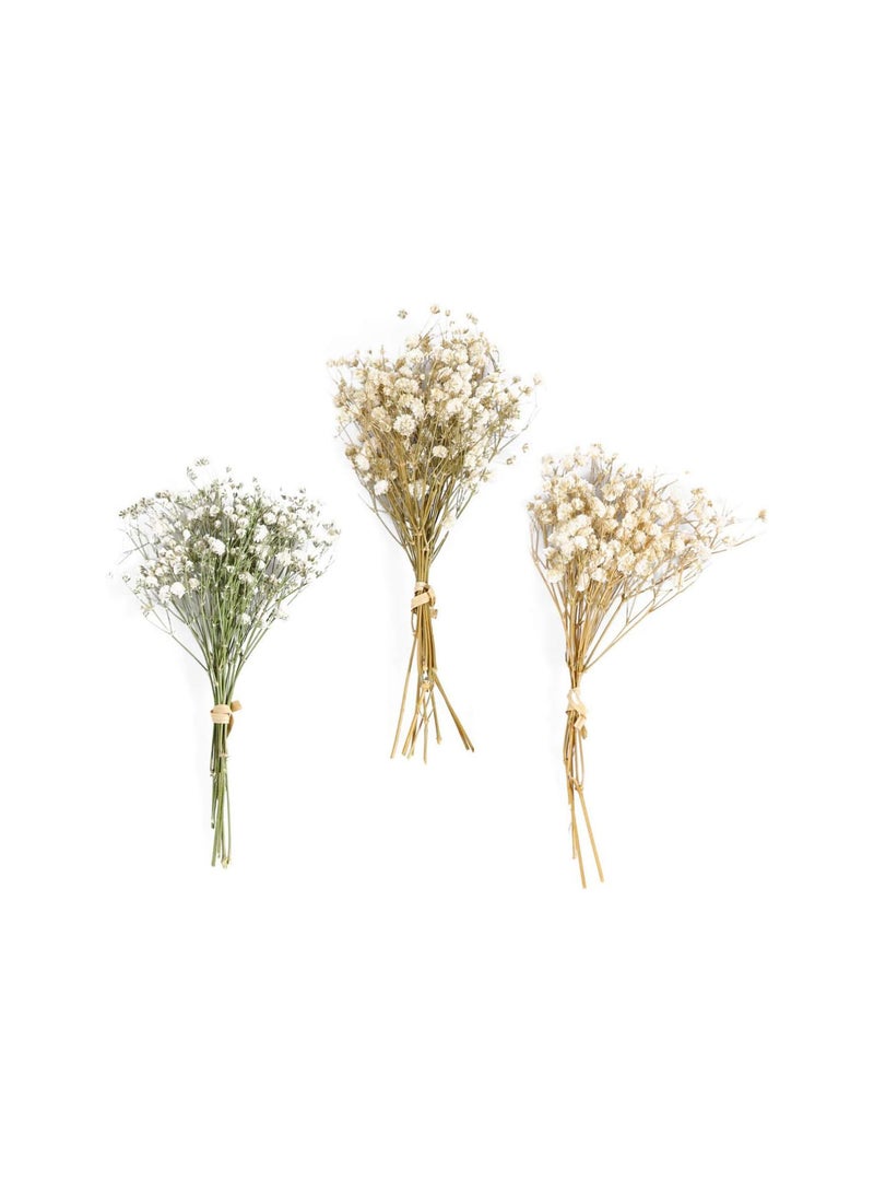 GGOOT Baby Breath Dried Flowers Natural Dry Flowers Bouquet Rustic Flower Bundles Floral Arrangements Supplies - Image 4