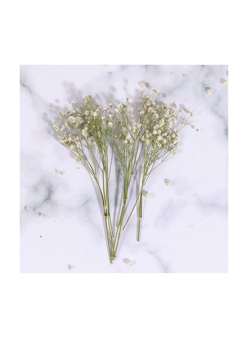 GGOOT Baby Breath Dried Flowers Natural Dry Flowers Bouquet Rustic Flower Bundles Floral Arrangements Supplies - Image 5