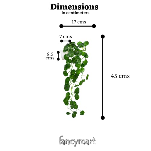 fancymart Artificial Vine Plant Falling with Pot: Pack of 2 (Natural Touch & Feel) - Home Décor and Office Decor with Small Size Pot - Small Faux Plants for Home Decor - Size 45 X 17 X 7 CM - Image 4