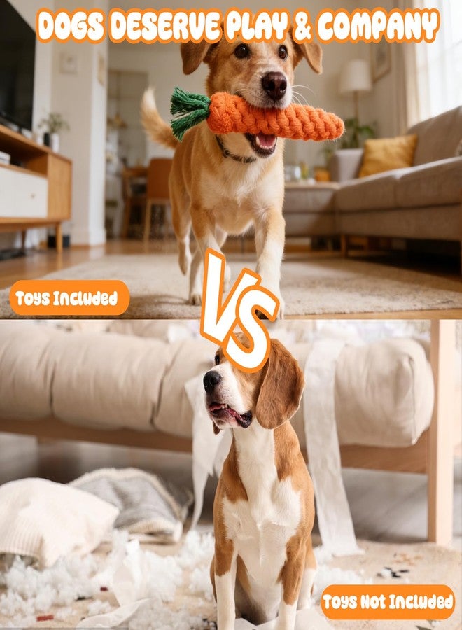 Hlimior 4 Pcs Easter Dog Squeaker Toys Set Plush Rabbit Eggs with Squeaker Rope Carrot Chew Toys for Small to Large Dogs Easter Dog Toy Kit for Playtime Teeth Cleaning and Anxiety Relief - Image 4