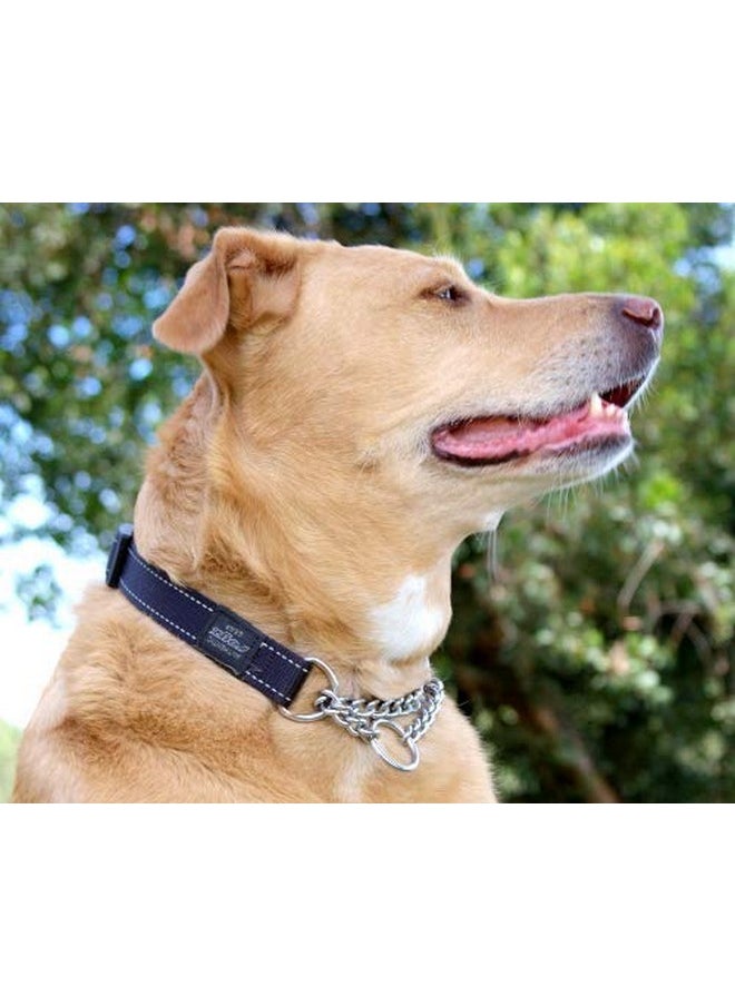 Rogz - Rogz Utility Medium 5/8-Inch Reflective Snake Obedience Half-Check Dog Collar, Blue - Image 1