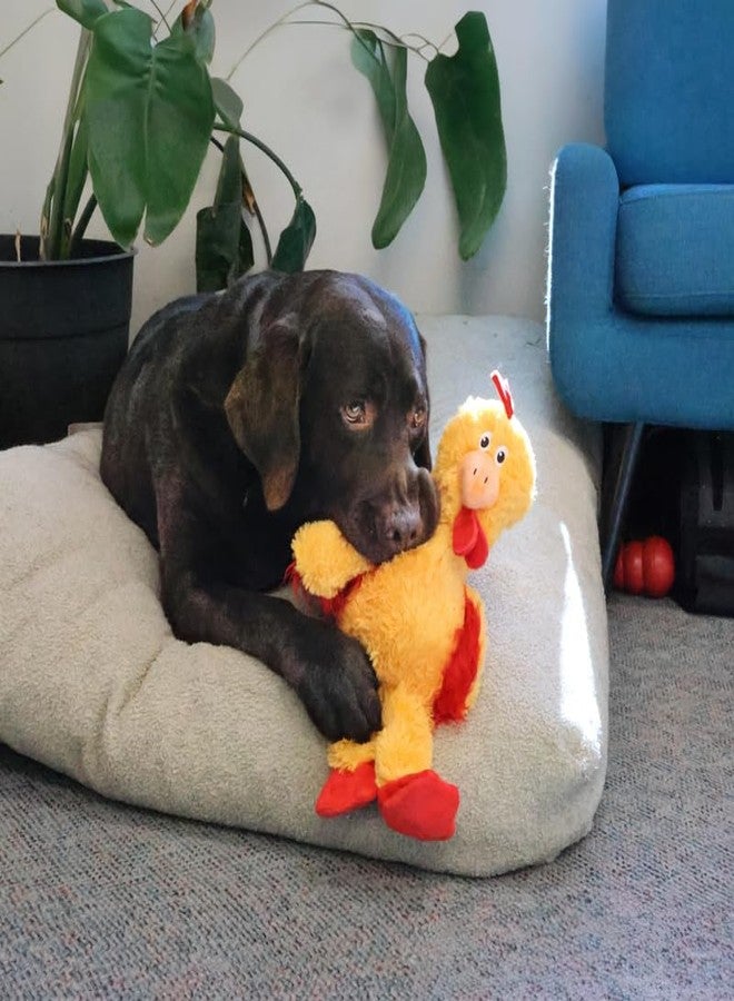 كونج لعبة دجاجة كونغ المعقودة للكلاب - حبل معقود داخلي وصفارات مزدوجة - قطيفة متينة مع حشو قليل، لعبة مضغ وشد داخلية/خارجية (كبيرة جدًا) - Image 2