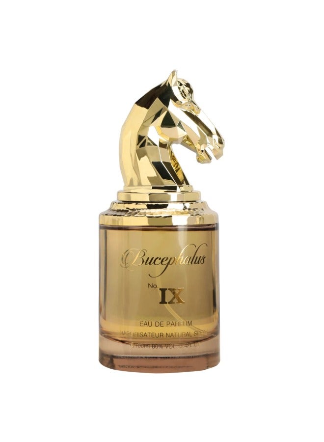أرماف نيش ارماف بوسيفالوس IX عطر للرجال - 100 مل | عطر جريء، حمضي وزهري مع الباتشولي والمسك - Image 4