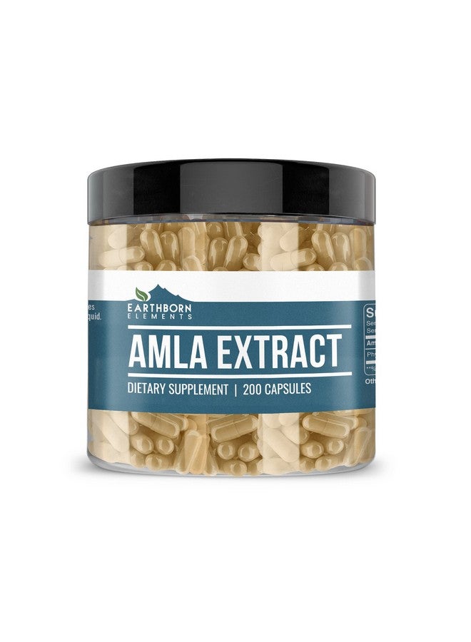 earthborn elements Amla Extract 200 Capsules Pure  Undiluted No Additives - Image 2