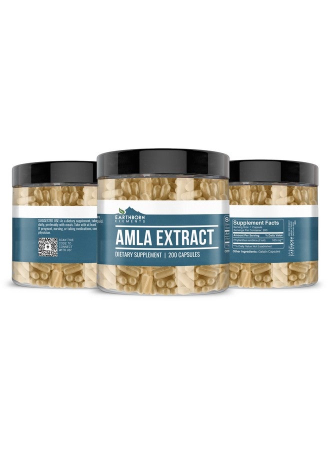 earthborn elements Amla Extract 200 Capsules Pure  Undiluted No Additives - Image 5