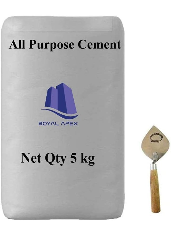 Royal Apex Royal Apex Portland Cement For Multi Purpose Use 5Kg Packet With Mason Trowel  - Image 1