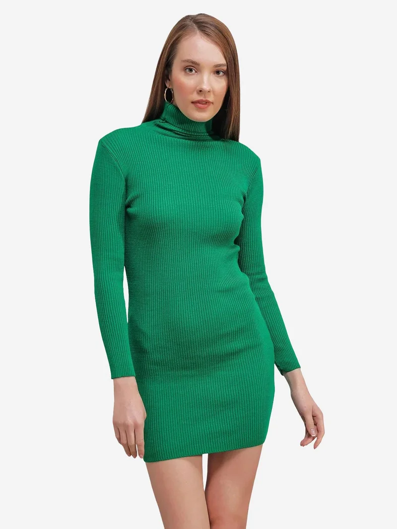 BIG DART BDART Ribbed Turtleneck Mini Knit Dress