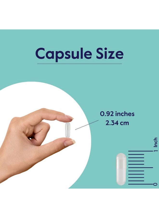 BESTVITE BESTVITE Liposan Ultra Chitosan 500mg (480 Capsules) (240 x 2) - Patented Faster Acting Than Regular Chitosan - No Stearates - No Fillers  - Image 5