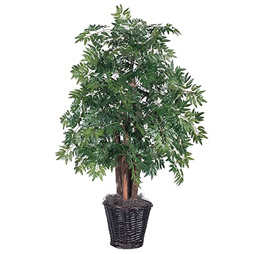 Vickerman Everyday 4 Artificial Ming Aralia Bush in a Rattan Basket  Lifelike Home Office Indoor Decor  Faux Indoor Potted Bush
