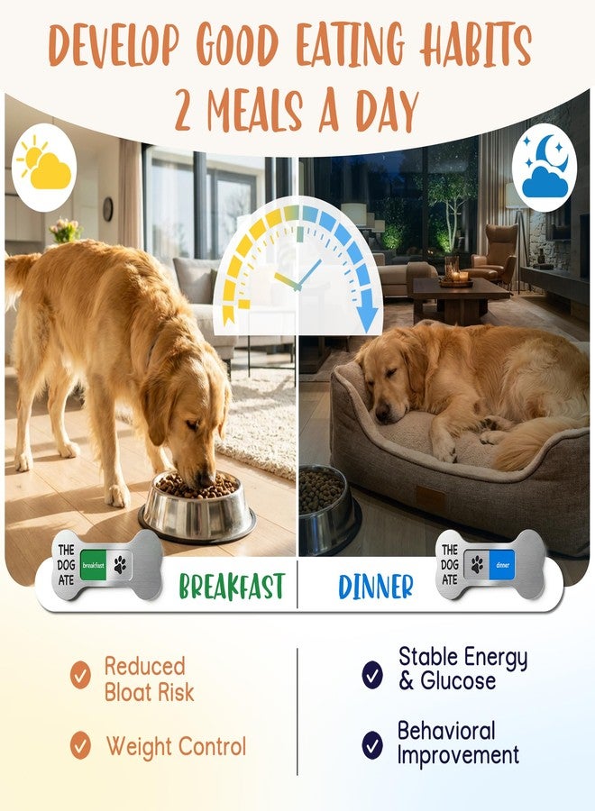 EliteSign Dog Feeding Reminder Supplies with Magnet, Bone-Shaped Design Brushed Silver, Acrylic Pet Nursing Schedule for Breakfast & Dinner, Feed Slider with Paw Pattern, 2 Stickers 5.5 x 2.6inch - Image 2