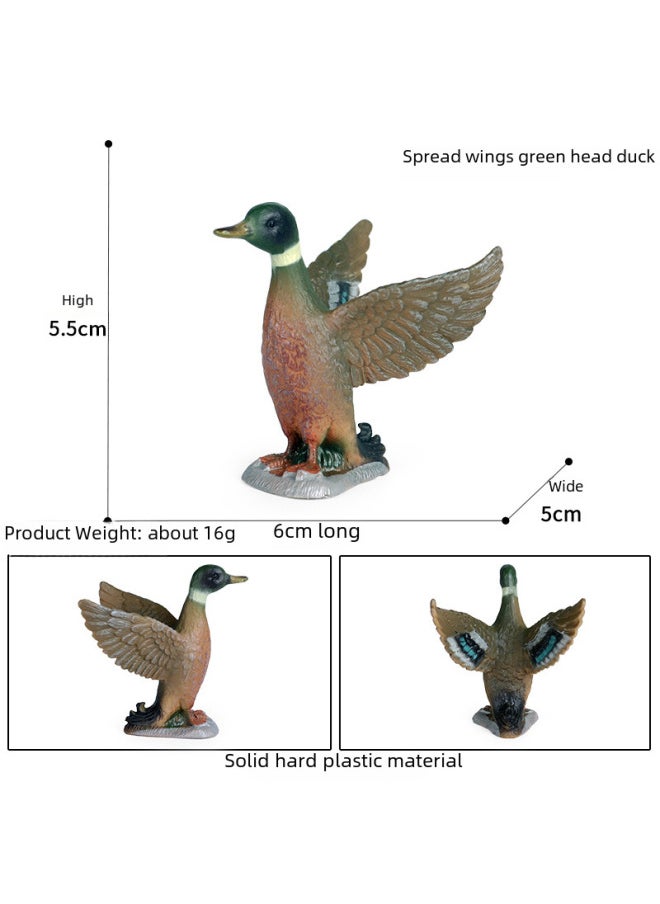 Simulation Static Animal Duck Model Children's Cognitive Toys Poultry Solid Duck Mallard Duck Plastic Ornaments-Color:M-2938 Polish Chicken (brown)  - Image 3