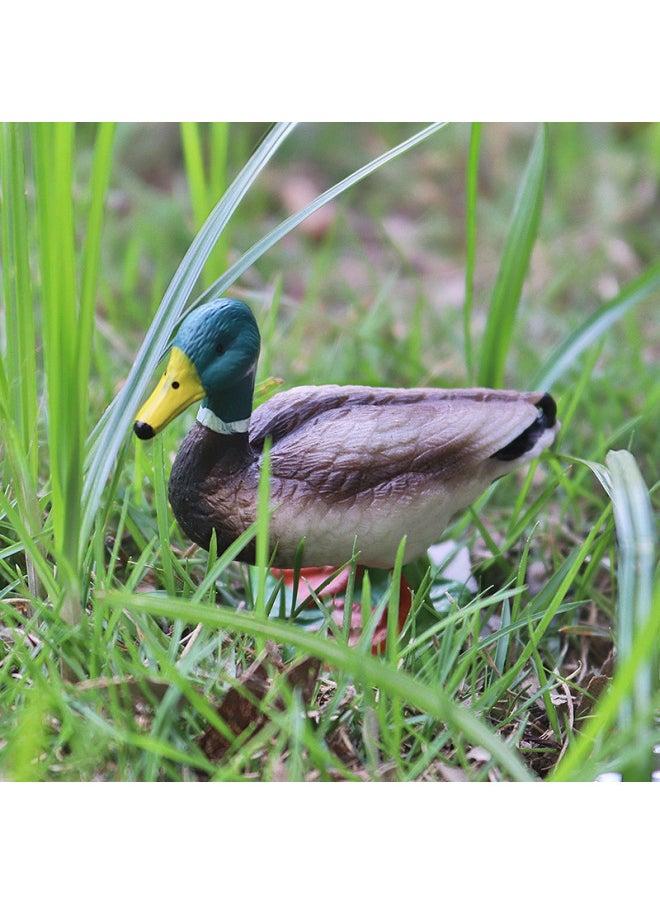 Simulation Static Animal Duck Model Children's Cognitive Toys Poultry Solid Duck Mallard Duck Plastic Ornaments-Color:M-2938 Polish Chicken (brown)  - Image 4