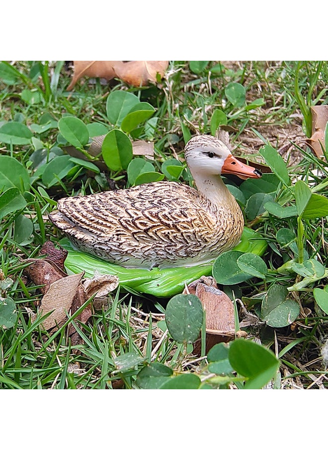 Simulation Static Animal Duck Model Children's Cognitive Toys Poultry Solid Duck Mallard Duck Plastic Ornaments-Color:M-2938 Polish Chicken (brown)  - Image 5