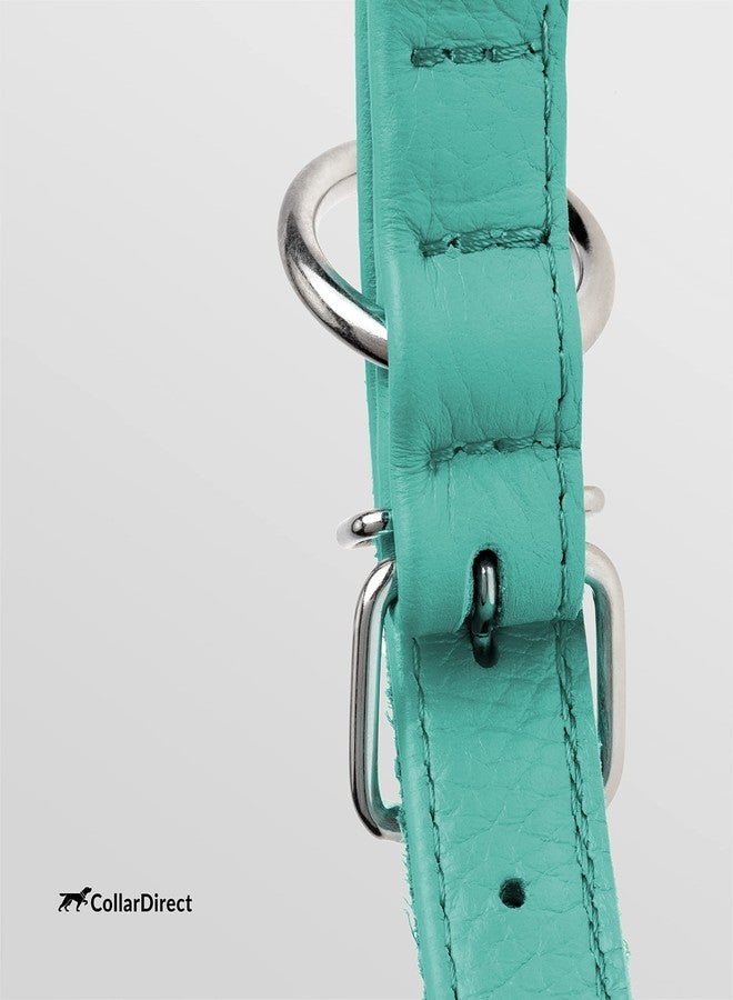 CollarDirect Rolled Leather Dog Collar, Soft Padded Round Puppy Collar, Handmade Genuine Leather Collar Dog Small Large Cat Collars 13 Colors (8-11 Inch, Mint Green Textured) - Image 3