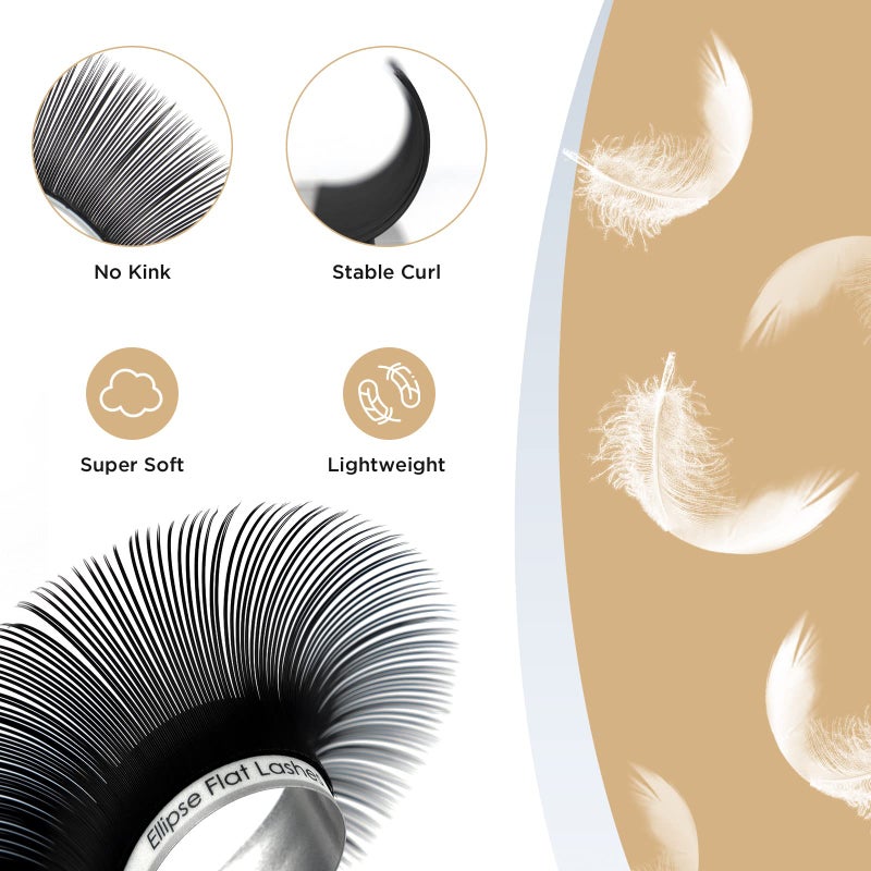 LASHVIEW Ellipse Eyelash Extensions 0.15mm D Curl 12mm Flat Eyelash Extension Eyelashes Lashes Extension Black False Lashes Flat Lash Extension Lashes Extensions Salon Use - Image 2