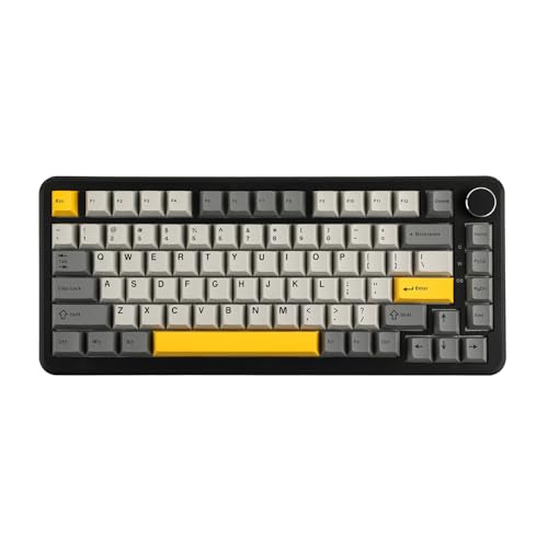 MechLands AJAZZ AK820 MAX HE Hall Effect Magnetic Gaming Keyboard, Adjustable Actuation, 8KHz Polling Rate, Wired Rapid Fast Keyboard, Creamy Gasket, RGB Backlight, NKRO for Win/Mac (Black) - Image 1
