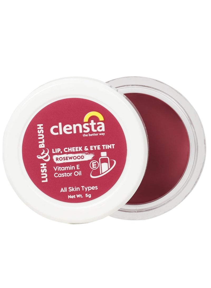 Clensta Lip Cheek Tint Rosewood with Goodness of Vitamin E Castor Oil 5G - Image 2