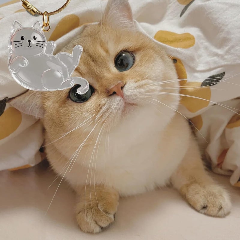 Clear Acrylic Cats Hair Collector with Cats Pendant Decoration Keychain Furs Container for Travel Friendly Shape Pet Memorial Box - Image 2