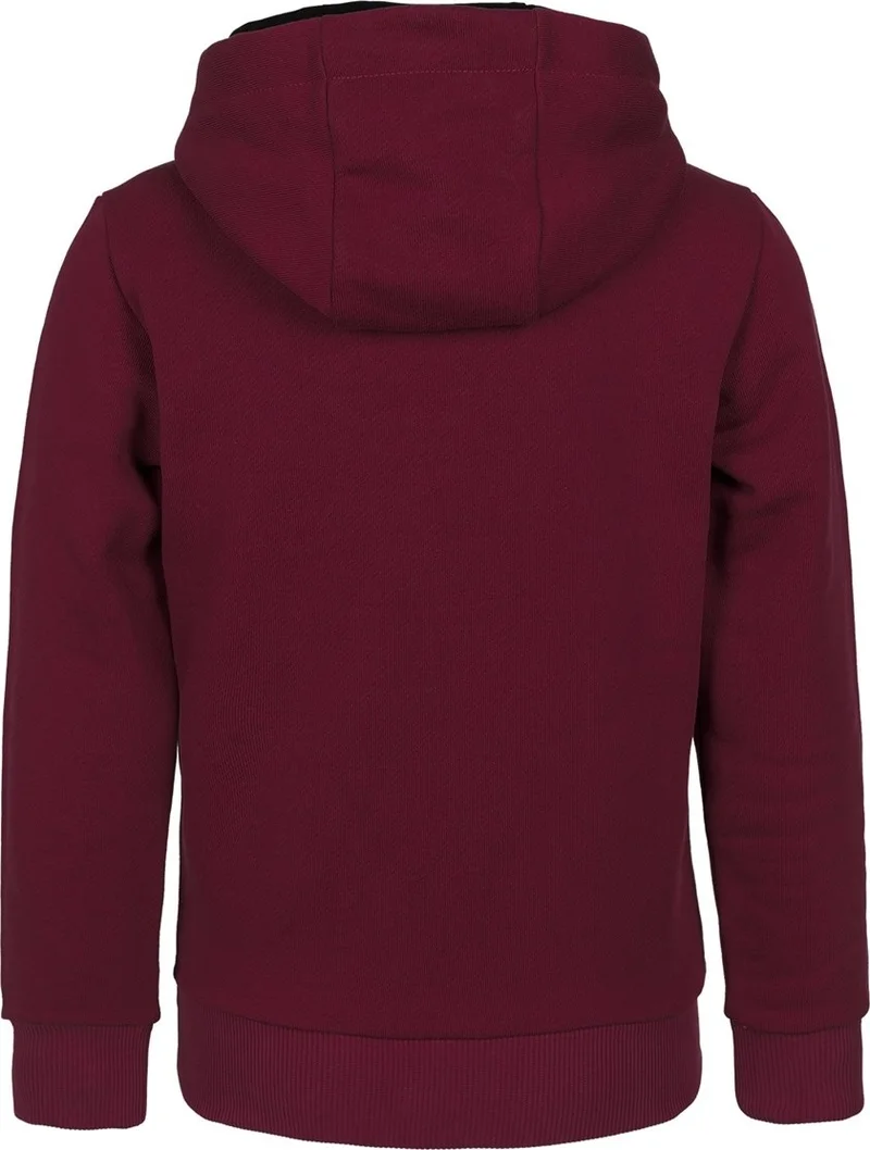بي ار زد كولكشن Tiger Printed Boys Hoodie Sweatshirt
