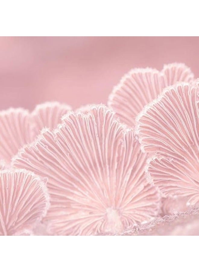 Lierac كريم-جل هيدراجينيست لإعادة الترطيب وإشراقة البشرة - عبوة قابلة للتعبئة - حمض الهيالورونيك الطبيعي ومخمّر إعادة الترطيب، مرطب وجه نباتي للنساء، موصى به للبشرة العادية إلى الحساسة، 50 مل - Image 4