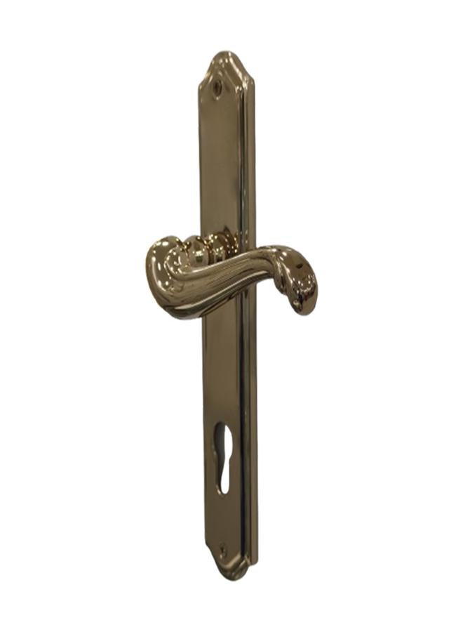 Doganlar Doganlar Aslan Turkish Cylinder Door Handle Set – Gold  - Image 2