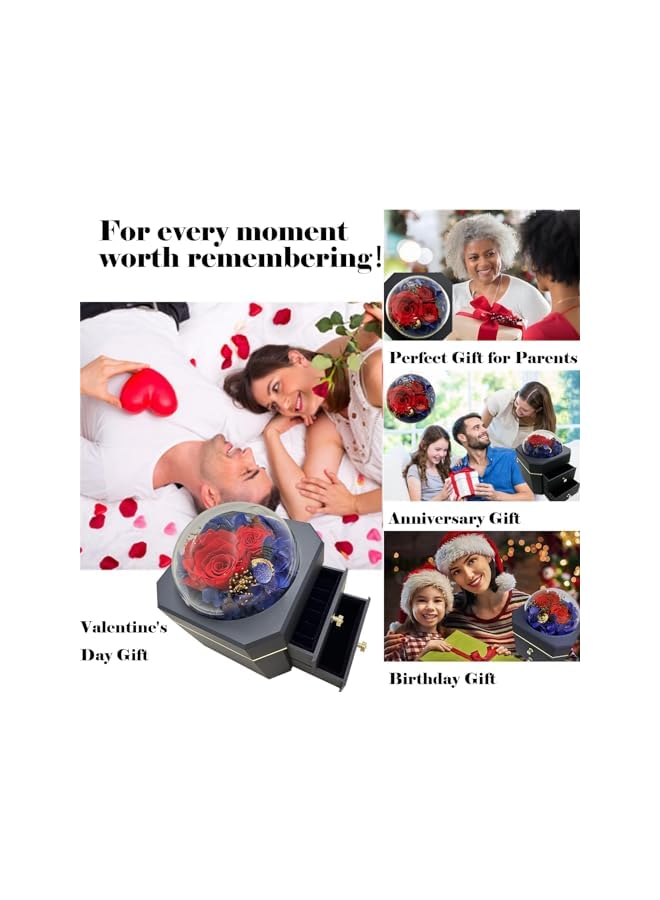 The Bros Valentine's Day Jewelry Box, Preserved Real Rose, Romantic Flower Gifts for Women Mom Wife Girlfriend on Valentines Day, Anniversary, Birthday with a Beautifully Wrapped Box - Image 2