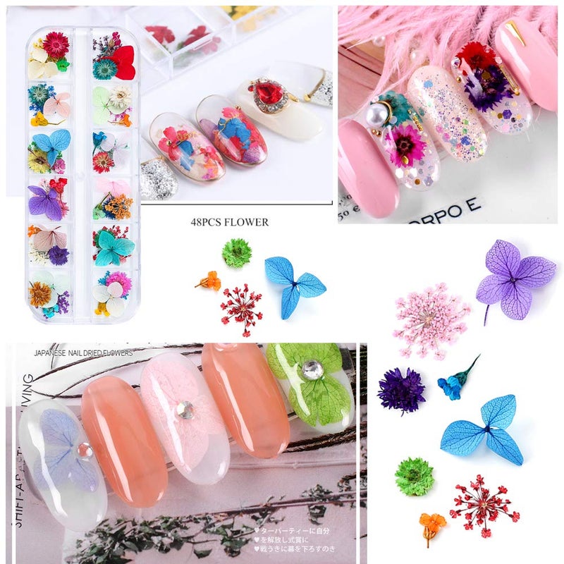 iFancer 108 Pcs Dried Flowers for Resin Nail Art 62 Colors 3D Dry Flowers for Nails 2 Boxes Small Tiny Dried Flowers for Nail Art Little Pressed Real Natural Flower Nail Art Design Decoration Supplies - Image 2