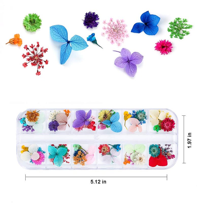 iFancer 108 Pcs Dried Flowers for Resin Nail Art 62 Colors 3D Dry Flowers for Nails 2 Boxes Small Tiny Dried Flowers for Nail Art Little Pressed Real Natural Flower Nail Art Design Decoration Supplies - Image 5