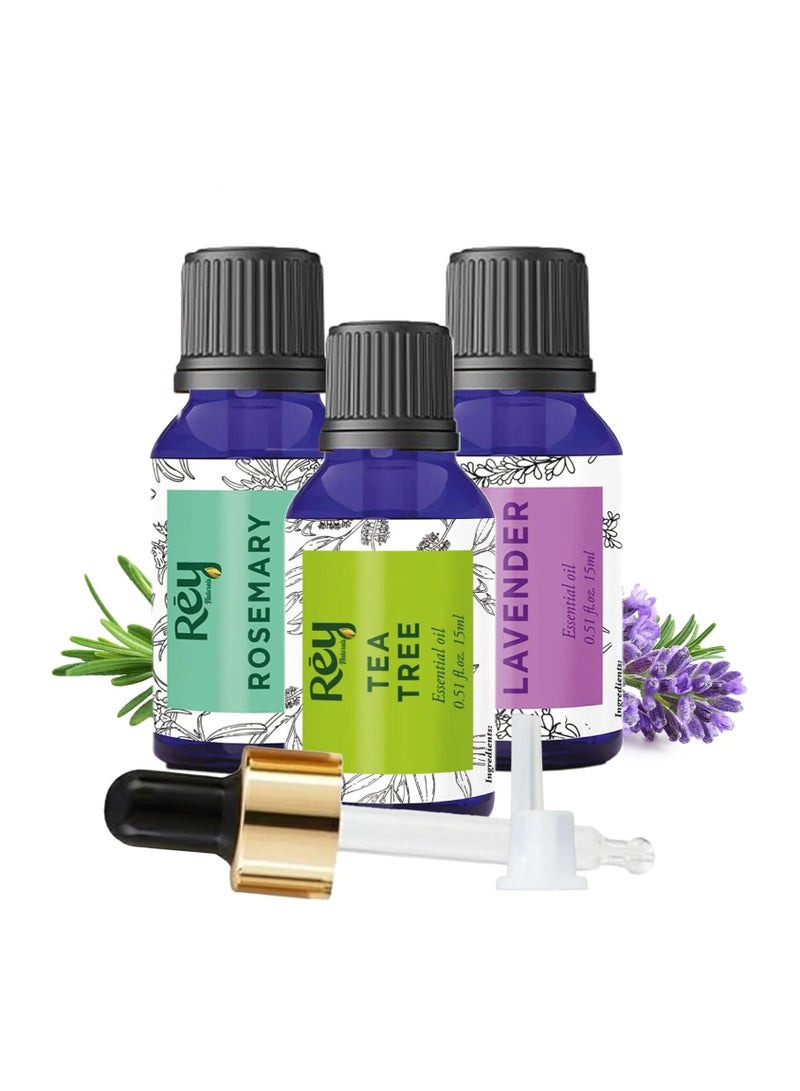 Rey Naturals ReyNaturals Lavender oil + Tea Tree oil + rosemary essential oils Combo (15 ml+15 ml + 15 ml) - Image 1