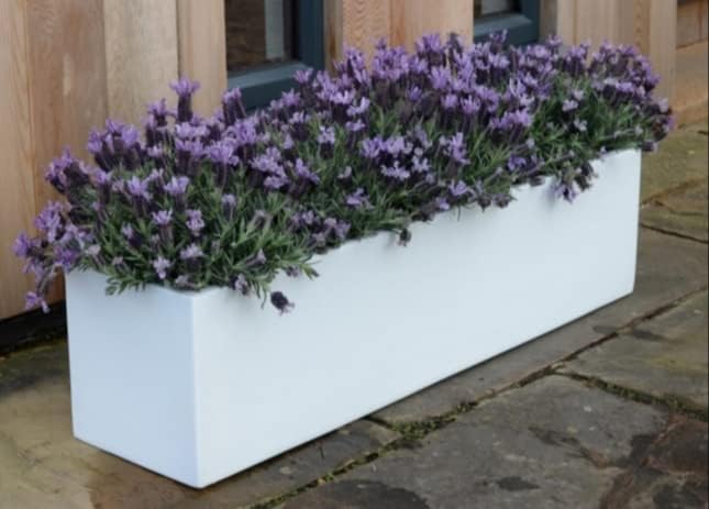 Lavish Craft Plant Store Modern Rectangle Planter Box - 20" Metal Planter Ideal for Long Succulents | Rectangular Table or Window Sill Planters for Indoor Use (White) - Image 4