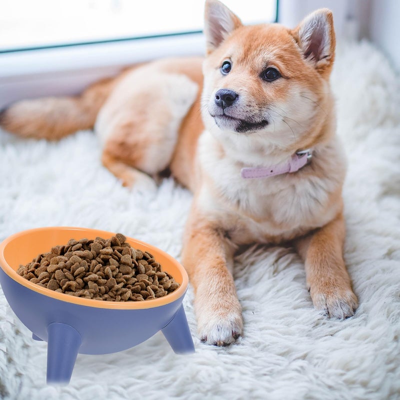 Raised Anti Spill Double Pet Feeder Bowl with Neck Protection for Cats and Dogs - Image 4
