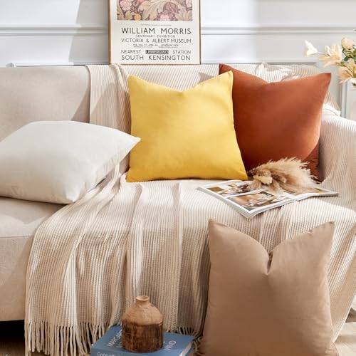 GriNeed Throw Pillow Covers Rust Set of 2 18x18 Inch Pillow Covers, Soft Velvet Fall Decorative Cases for Couch Sofa Bed, Home Boho Decor, Modern Farmhouse Cushion Covers - Image 5