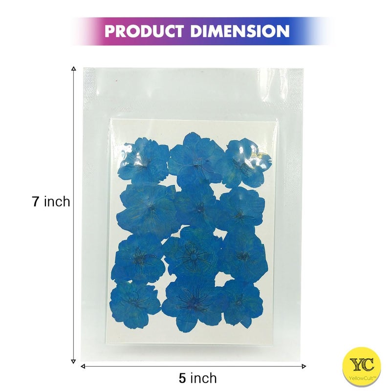 YellowCult YellowCult Natural Real Dried Pressed Flowers Sheets for Art Craft Mixed Multicolor for Soap Candle Journal DIY Resin Jewelry PendantBeautiful Cherry FlowerLight Blue  - Image 2