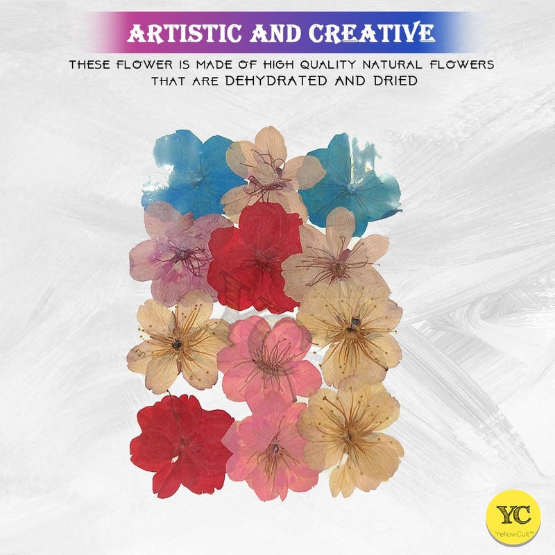 YellowCult YellowCult Natural Real Dried Pressed Flowers Sheets for Art Craft Mixed Multicolor for Soap Candle Journal DIY Resin Jewelry PendantBeautiful Cherry FlowerLight Blue  - Image 3