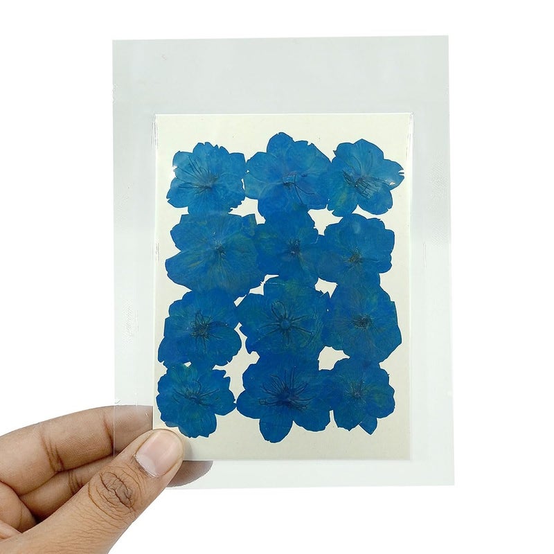 YellowCult YellowCult Natural Real Dried Pressed Flowers Sheets for Art Craft Mixed Multicolor for Soap Candle Journal DIY Resin Jewelry PendantBeautiful Cherry FlowerLight Blue  - Image 1
