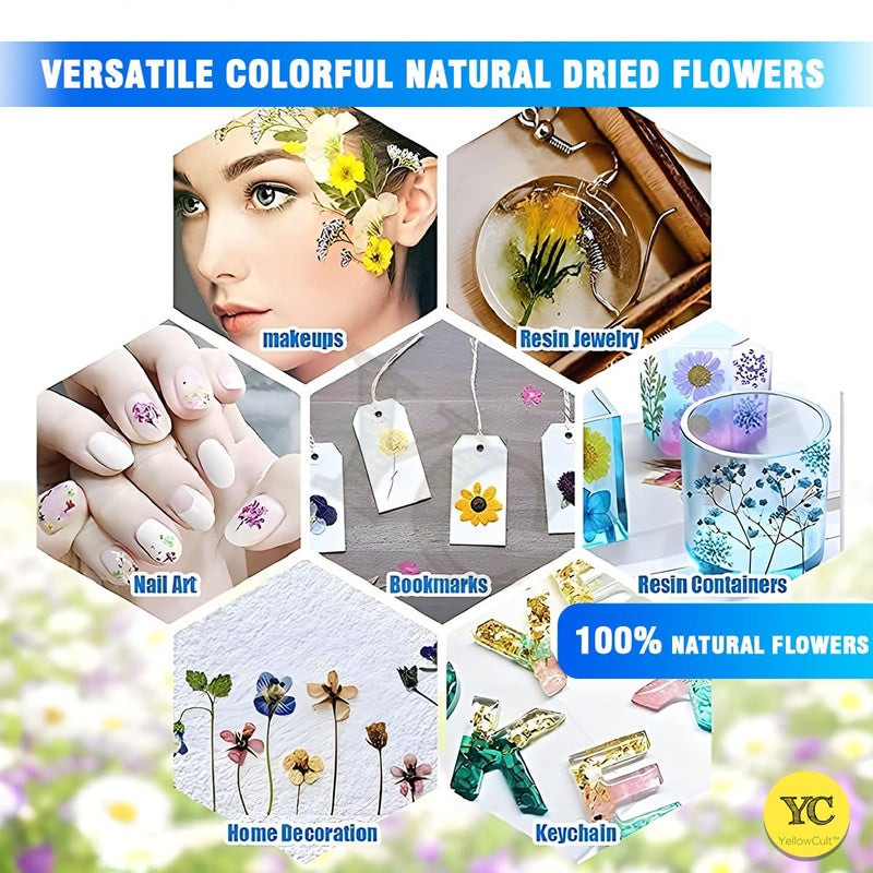 YellowCult YellowCult Natural Real Dried Pressed Flowers Sheets for Art Craft Mixed Multicolor for Soap Candle Journal DIY Resin Jewelry PendantBeautiful Cherry FlowerLight Blue  - Image 4