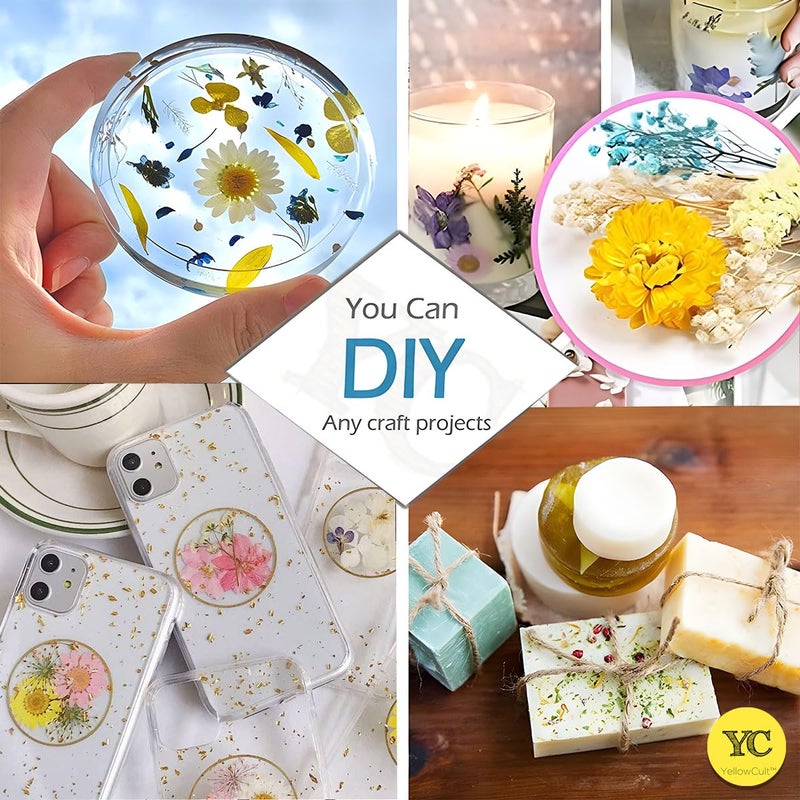 YellowCult YellowCult Natural Real Dried Pressed Flowers Sheets for Art Craft Mixed Multicolor for Soap Candle Journal DIY Resin Jewelry PendantBeautiful Cherry FlowerLight Blue  - Image 5