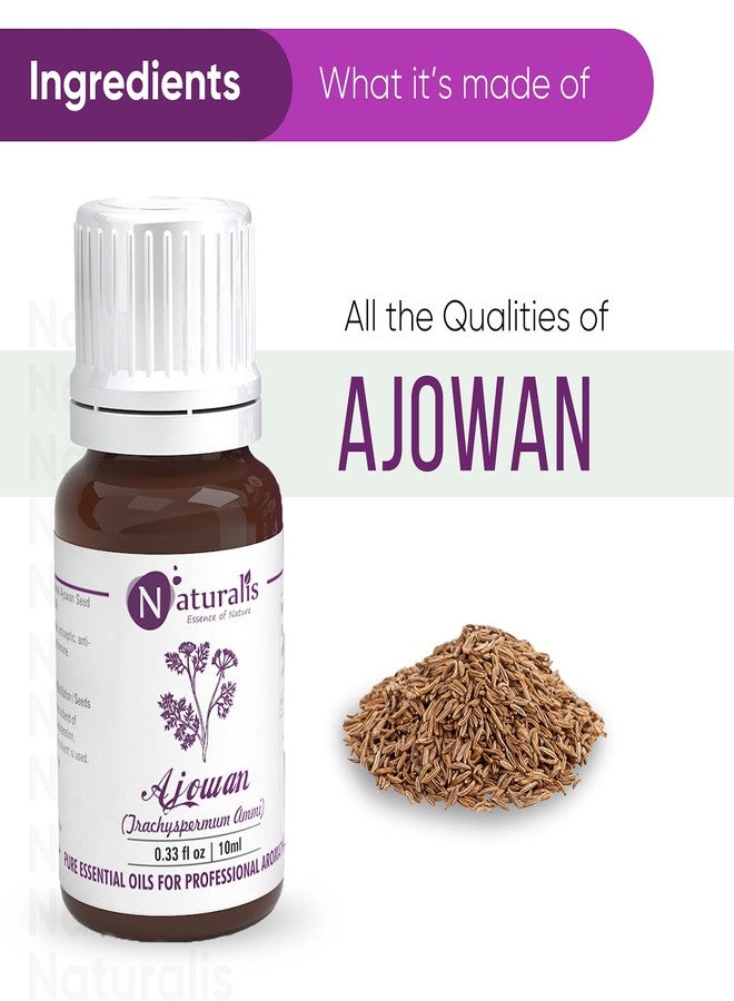 Naturalis Essence of Nature Ajwain/Ajowan Essential Oil - 10ml - Image 3