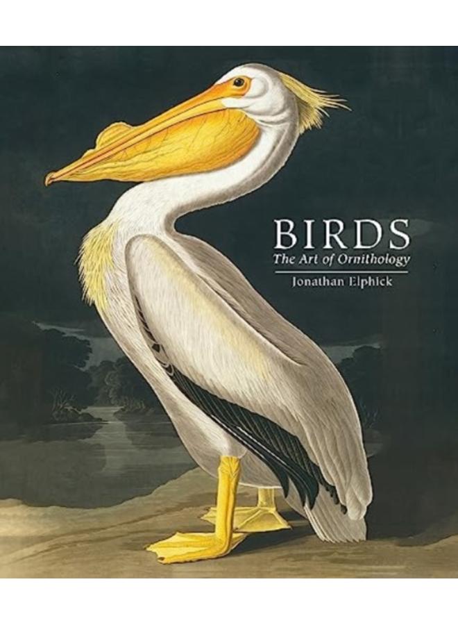 Birds : The Art of Ornithology (Pocket edition) 